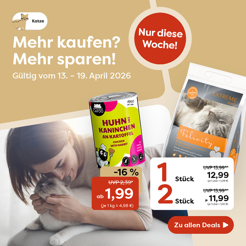 1-0_Startseite KATZE KW 16