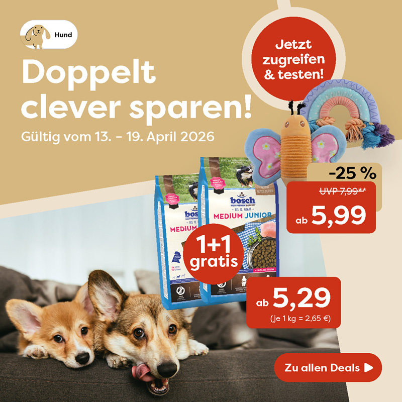 0-1_Startseite HUND KW 16