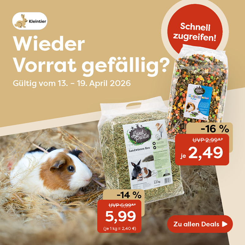 1-1_Starseite KLEINTIER KW 16