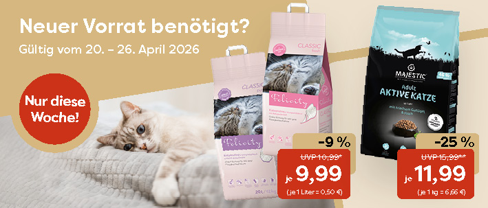 2-0_Startseite KATZE KW 17