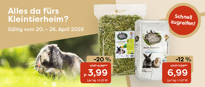 6-0_Startseite KLEINTIER KW 17