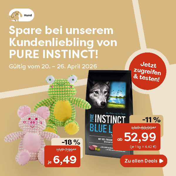 0-1_Startseite Hund KW 17