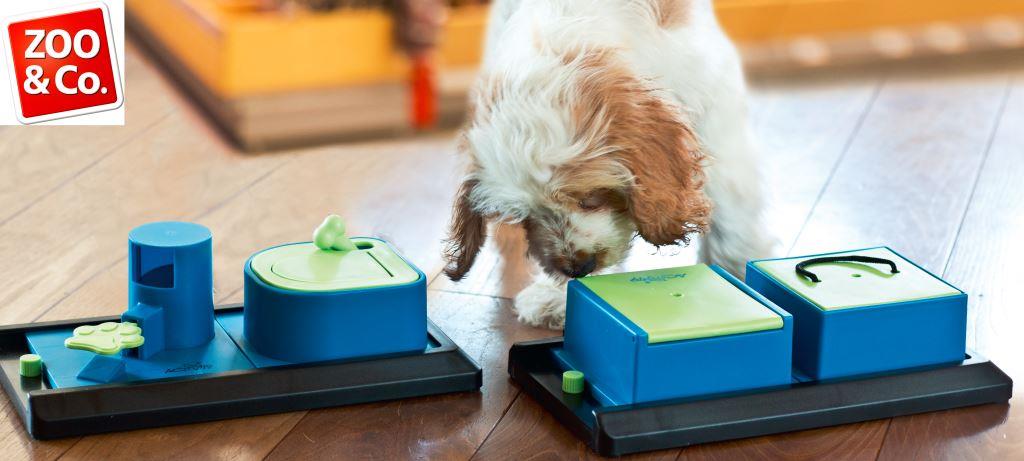 Intelligenzspielzeug für Hunde HIER kaufen
